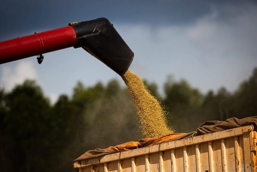 Impulsionado-pelo-agronegocio-e-industria-PIB-de-Goias-cresce-48-em-2023-e-supera-media-nacional Impulsionado-pelo-agronegocio-e-industria-PIB-de-Goias-cresce-48-em-2023-e-supera-media-nacional