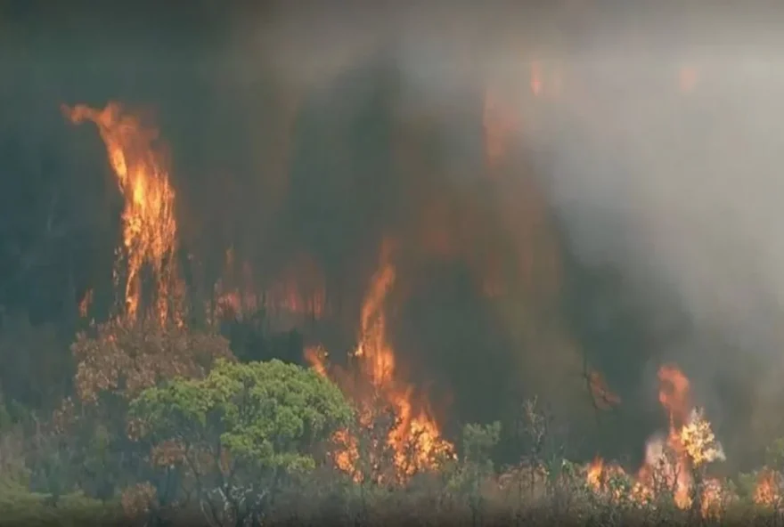 Fogo no Parque Nacional de Brasília