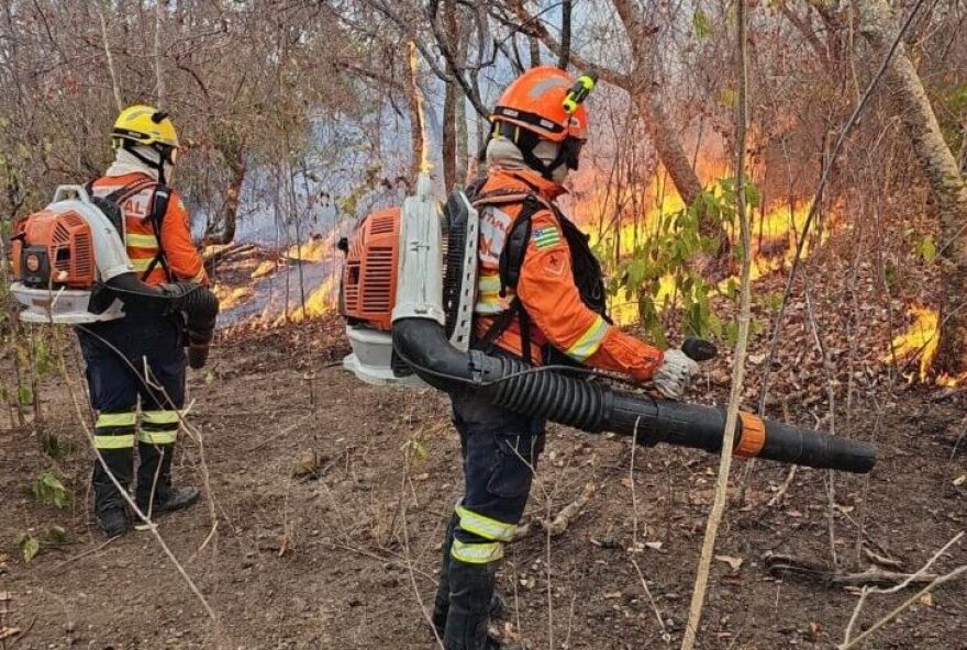 Incendio-florestal_Bombeiros