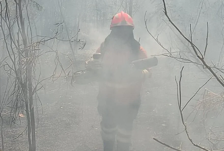 Um novo incêndio acomete a área do Parque Nacional da Chapada dos Veadeiros (Foto: Bombeiros)