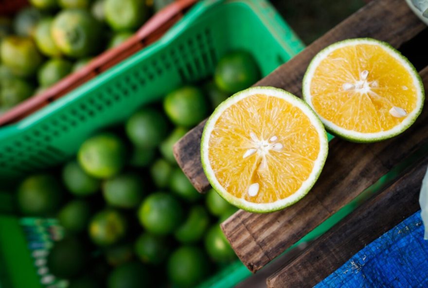 Produção de laranjas cresce em Goiás e deve bater recorde em 2023
 (Foto: Wenderson Araújo)