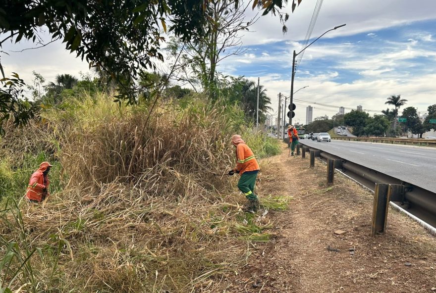 Prefeitura de Goiânia faz roçagem e limpeza no Córrego Botafogo, nas proximidades da Vila Lobó e Jardim Goiás | (Fotos: Luciano Magalhães/Comurg)