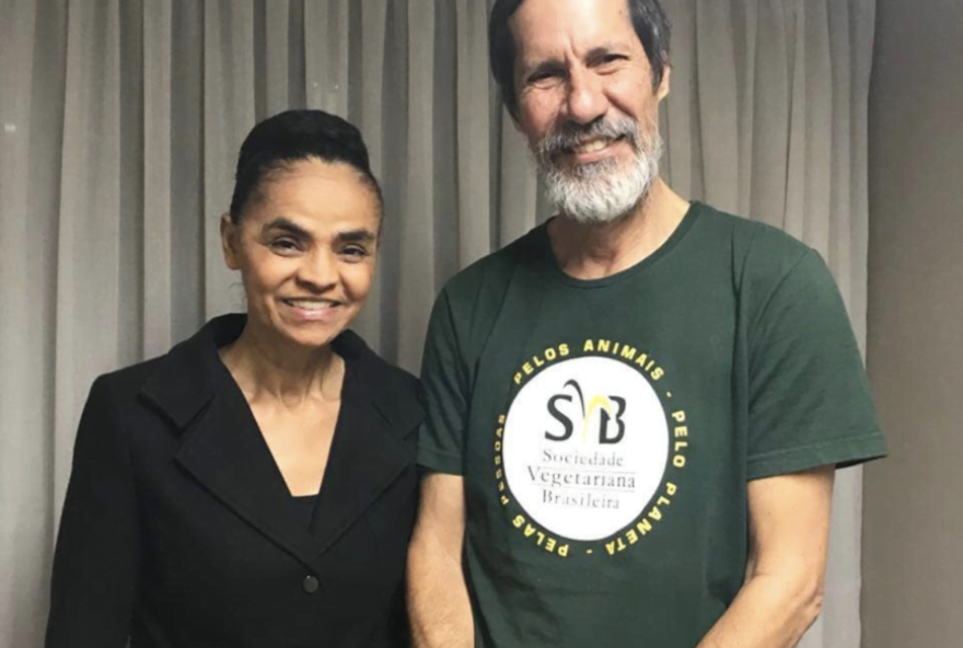 Foto: Reprodução / Instagram / Marina SIlva