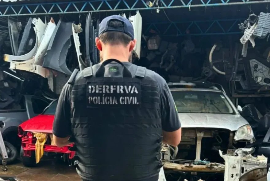 Operação contou com o apoio da Polícia Civil de São Paulo e Polícia Civil do Rio de Janeiro (Foto: PC)