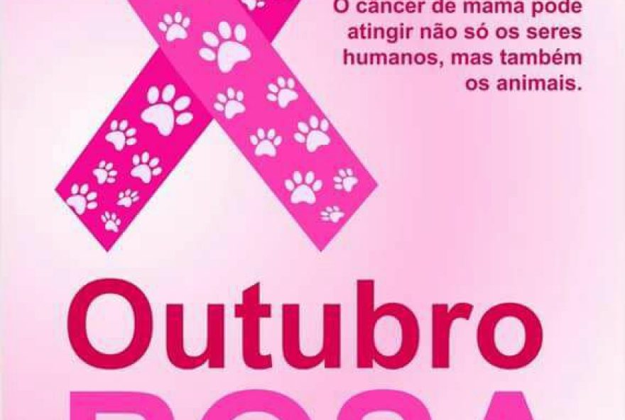 Outubro Rosa Pet