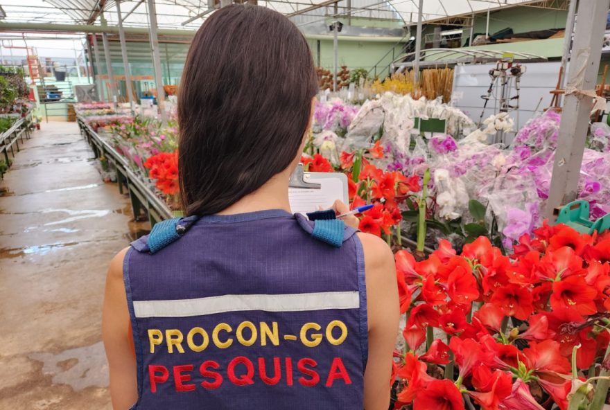 Unidade de rosa branca foi encontrada de R$ 1,75 a R$ 12, apontando para uma variação de preços de 585,71% . A coroa de flores, tamanho G, foi encontrada de R$ 250 a R$ 500, apresentando uma variação de 100% de um estabelecimetno para outro (Foto: Procon-GO)