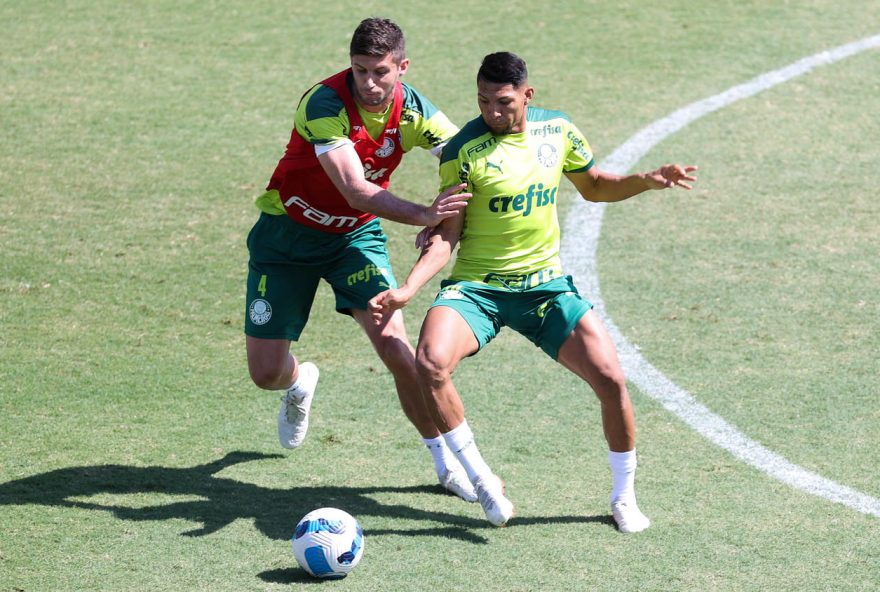 Palmeiras Libertadores treino