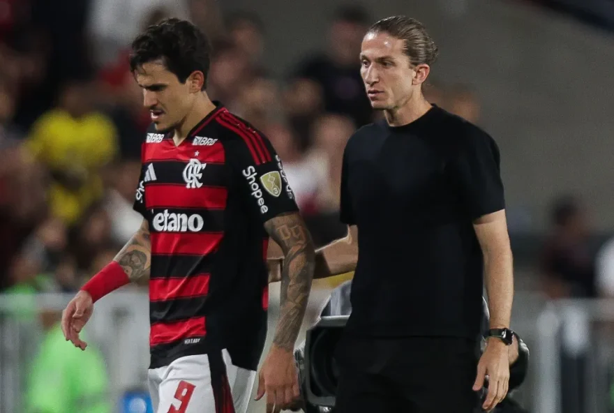 Pedro-e1761226838554