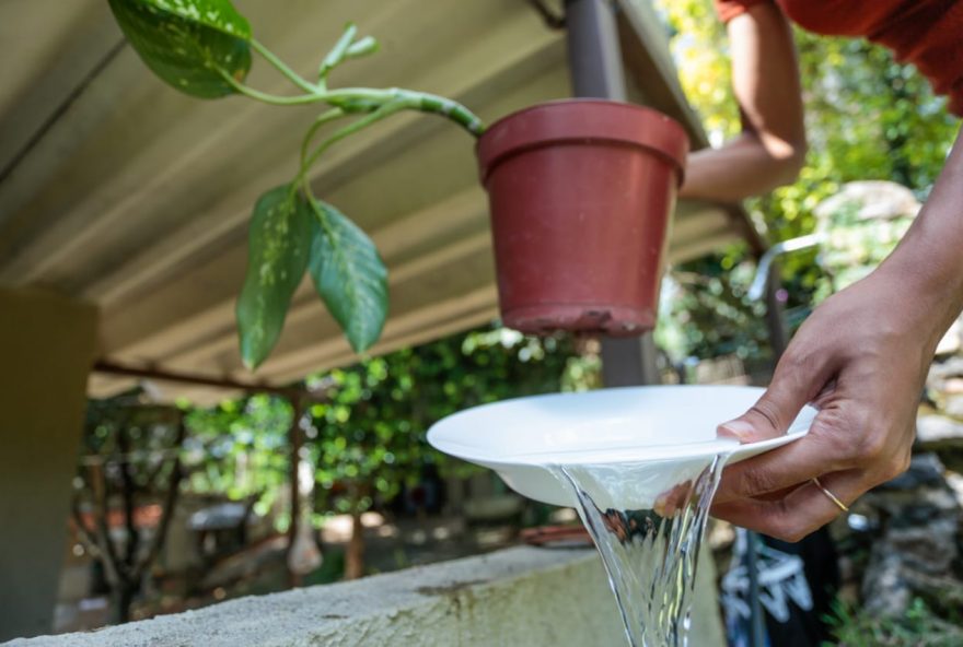 Dengue: 75% dos criadouros estão dentro das residências