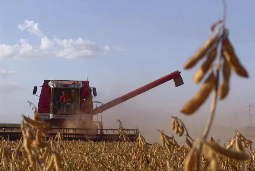 Estima-se que aproximadamente 33 mil produtores rurais no estado serão impactados por essa nova medida (Foto: Divulgação)