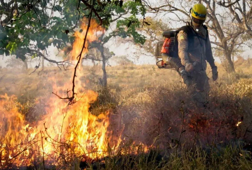 2024 está se tornando um dos anos com maior quantidade de focos de queimada na última década, segundo o Inpe. (Foto: Bombeiros de Goiás)