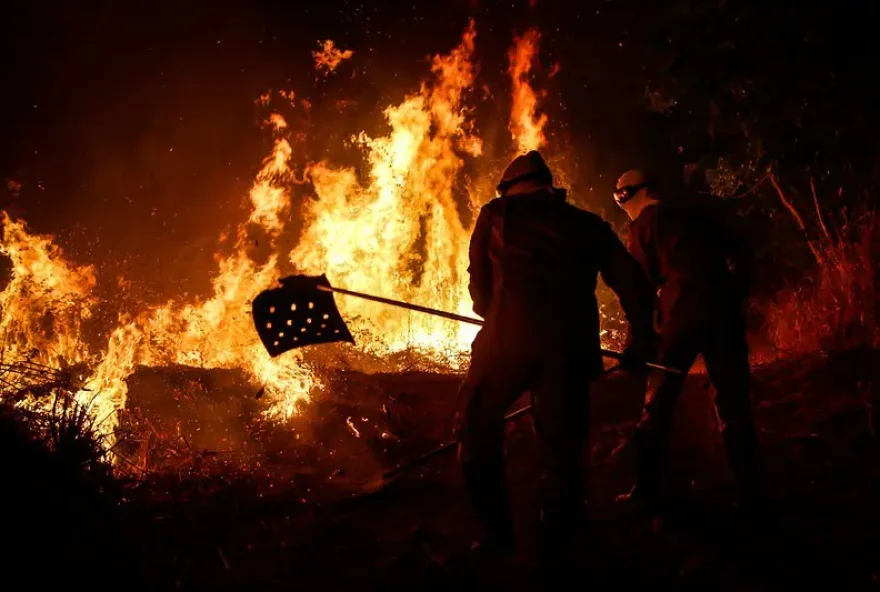 Suspeito confessou ter iniciado fogo em área de mata nativa na BR-060 e ameaçou incendiar comunidade no Recanto das Emas.
 (Foto: Divulgação CBMGO)