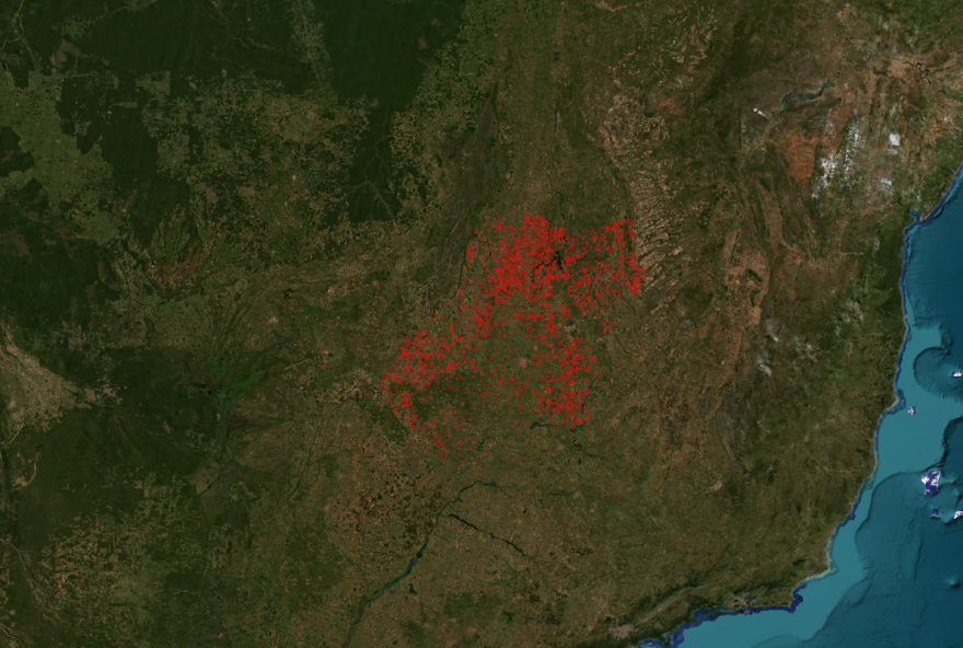 Goiás é o 12º estado brasileiro em ranking de áreas e números de alertas de desmatamento em 2021