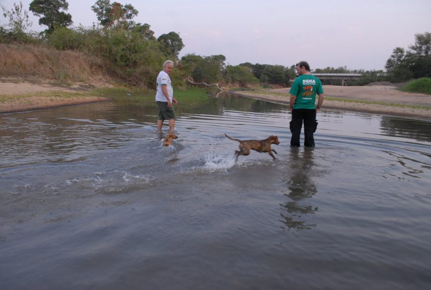 Foto: Walter Peixoto