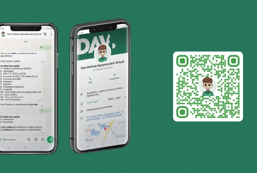 Para utilizar o chatbot Davi da Agrodefesa, basta salvar o número de telefone (62) 98164-1188 nos contatos do telefone e iniciar uma conversa pelo Whatsapp (Imagem: Agrodefesa)