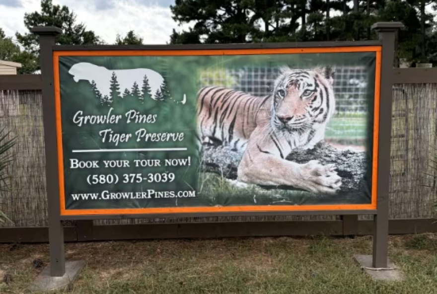 SANTUARIO-TIGRE-OKLAHOMA