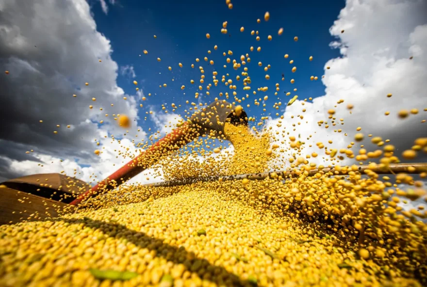 Goiás é o quarto maior produtor de grãos do país, com participação de 10,5% da produção nacional (Fotos: Seapa-GO)