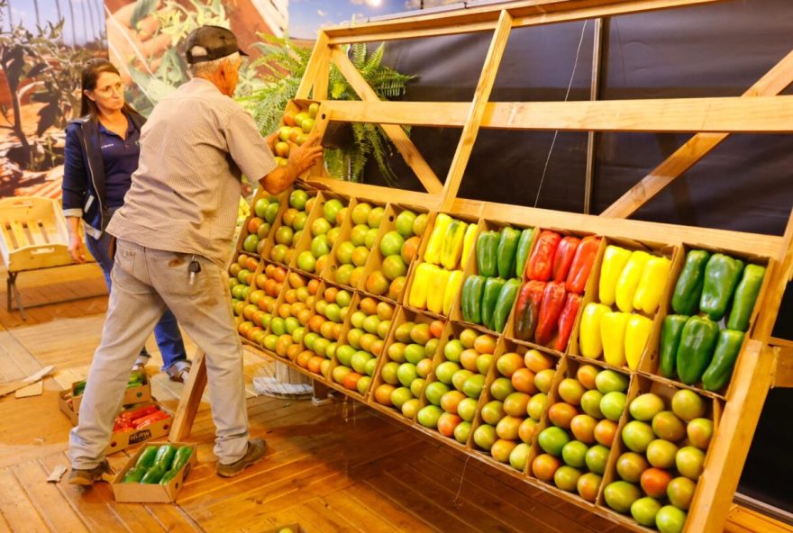 SECOM_FESTA_DO_TOMATE_EM_GOINAPOLIS_POR_ADALBERTO_RUCHELLE-1215x809
