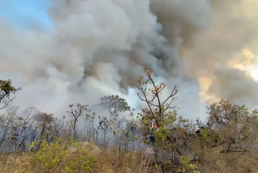 De acordo com a secretária de Meio Ambiente e Desenvolvimento Sustentável, Andréa Vulcanis, há indícios de ação criminosa na origem do incêndio (Foto: Semad-GO)