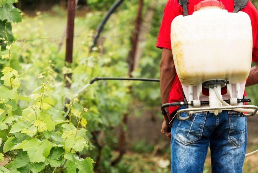 Uso de agrotóxicos preocupa saúde estadual, que promove ações para reduzir riscos dos produtos aos trabalhadores rurais (Foto: FreePik)