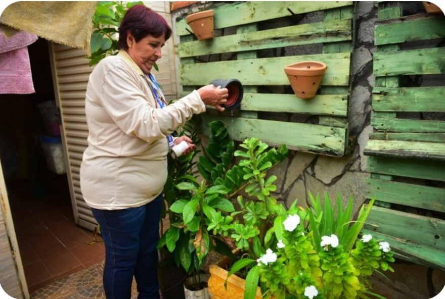 Prefeitura de Goiânia lista ações ajudam a evitar que sua casa se torne um ponto de proliferação do Aedes aegypti durante período de férias - Foto: Jucimar de Sousa