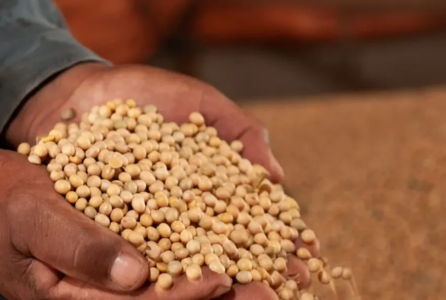 Crescimento do PIB foi puxado pelo setor agropecuário, que saltou 15,1%, no mês de setembro, na comparação com o mesmo período do ano anterior (Foto: SGG)