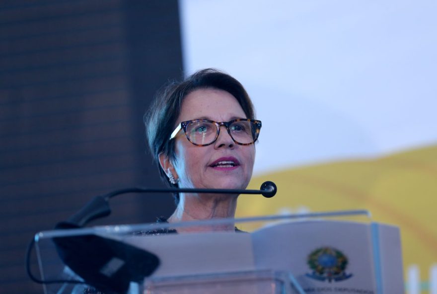 Tereza Cristina é deputada federal pelo Democratas do Mato Grosso do Sul e integra a bancada ruralista no Congresso Nacional. / Foto: Wilson Dias / Agência Brasil.