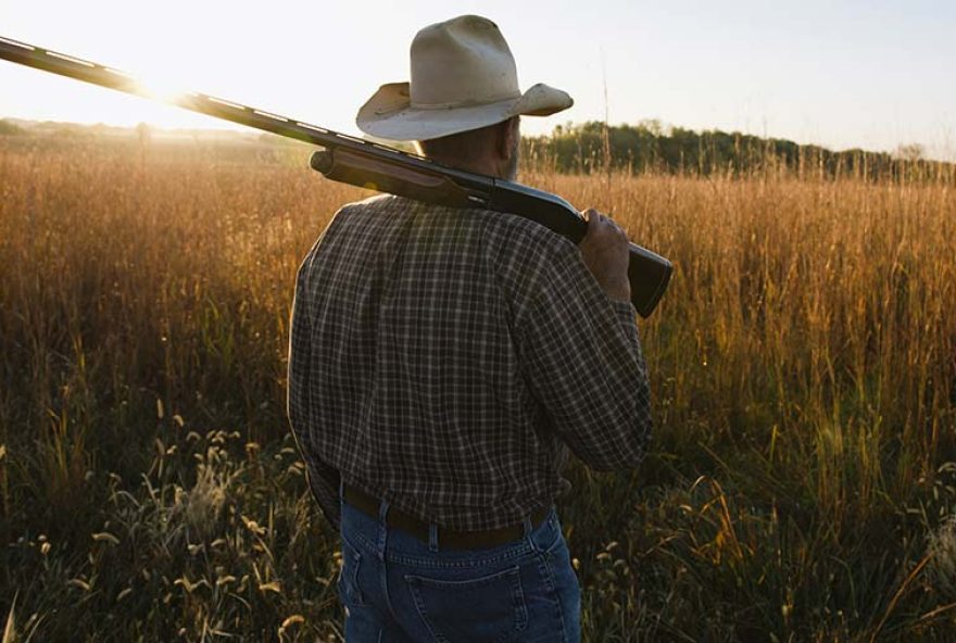 Foto: Cultura/REX Shutterstock