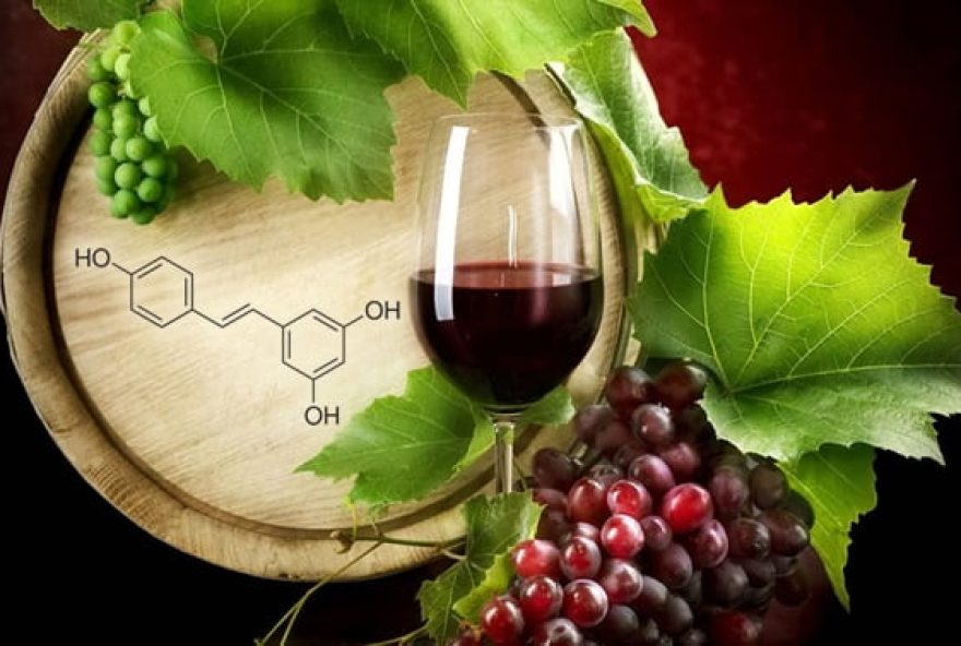 Vinhos secos e resveratrol