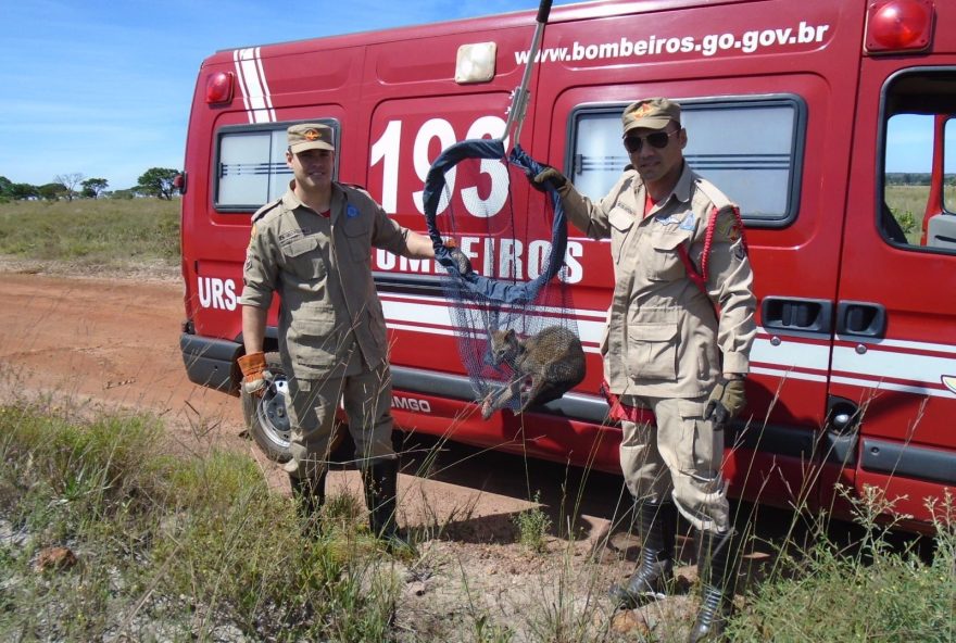 Foto: Corpo de Bombeiros