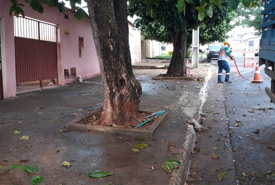 Rua limpa após reportagem do Diário de Goiás / Foto: Enel