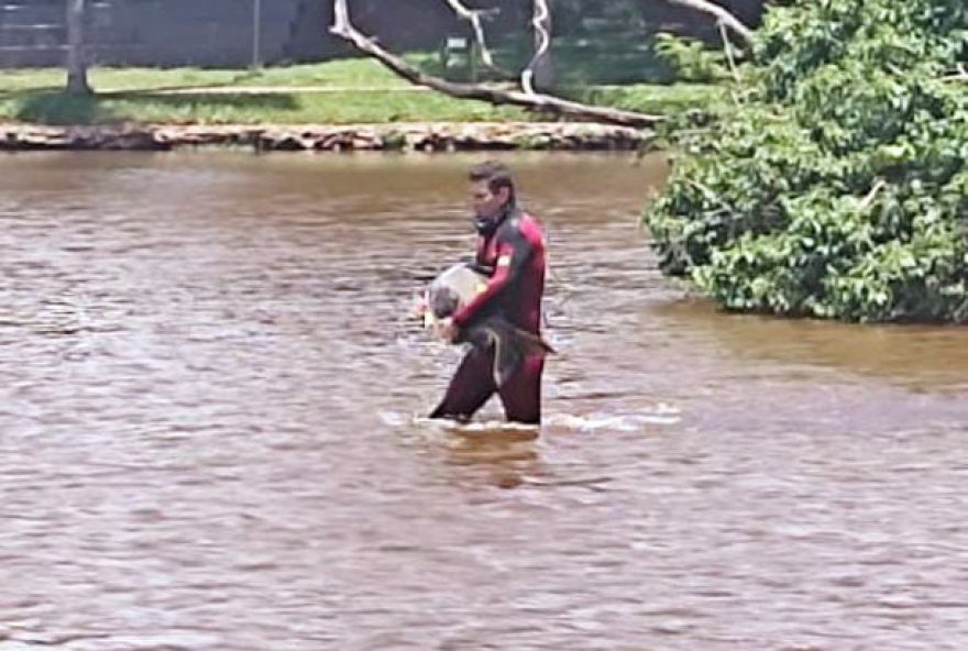 Resgate inusitado é realizado no Parque Vaca Brava