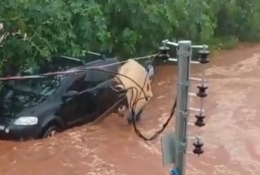 Homem tentando retirar entulhos do carro / Foto: Reprodução