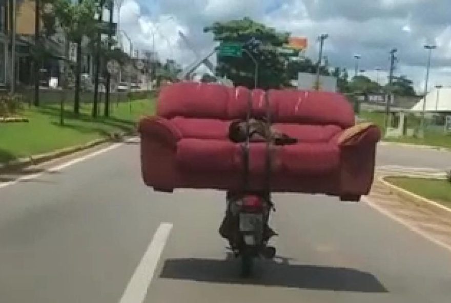 Motociclista carregando sofá e cachorro / Foto: Reprodução