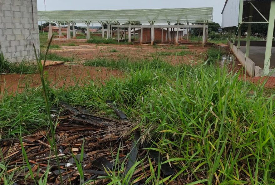 Mato alto tomou conta das obras / Foto: Arquivo pessoal