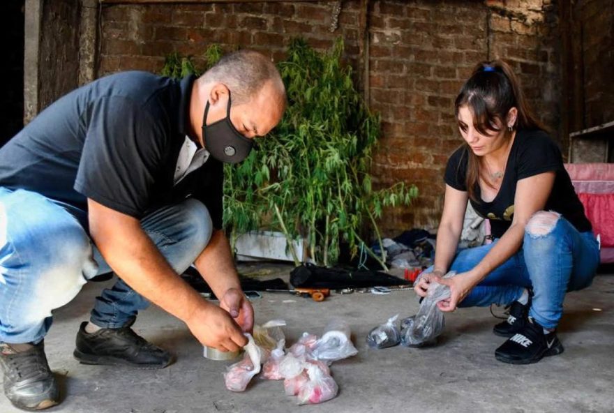 Argentina: Cocaína que matou 20 pessoas continha anestésico para elefantes