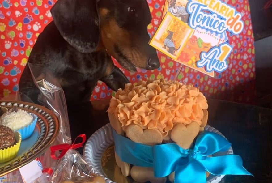 Pedidos de bolos para pet chegam a 20 por semana, de acordo com a pet chef Andréa Hermano. No aniversário de Tonico, o tema foi Mercearia. (Foto: Arquivo Pessoal)