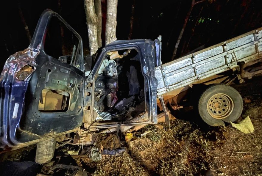 Caminhonete de modelo F-1000 envolvida no acidente. (Foto: Divulgação/Corpo de Bombeiros)