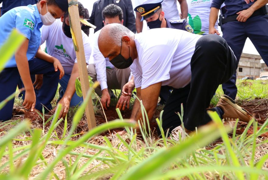 Prefeitura de Goiânia irá trocar materiais recicláveis por mudas de árvores nativas e ervas medicinais. (Foto: Divulgação / Secom Goiânia)