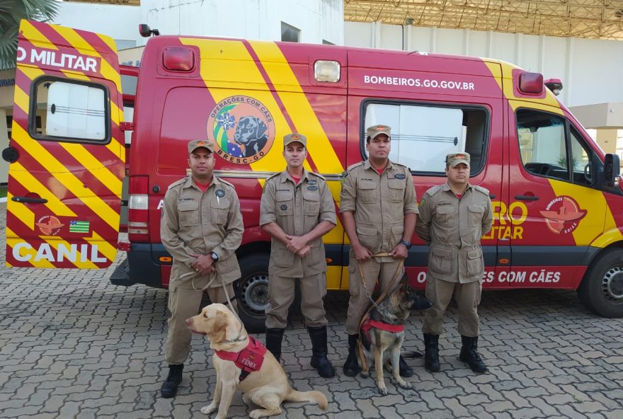 Militares e cães trabalham em dupla. (Foto: Divulgação/Corpo de Bombeiros de Goiás)