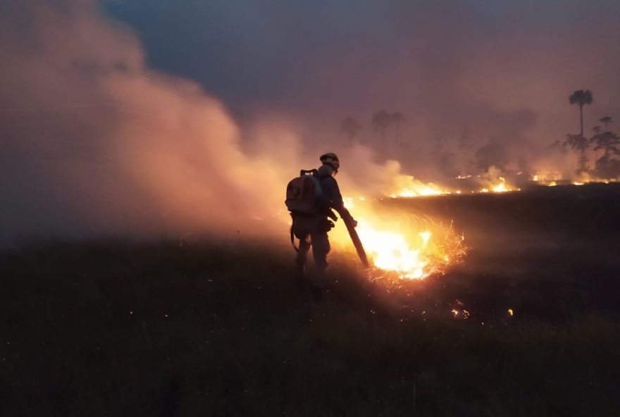 Brasil enfrenta riscos de desidratação e doenças respiratórias devido à seca e poluição do ar.
(Foto: reprodução Corpo de Bombeiros)