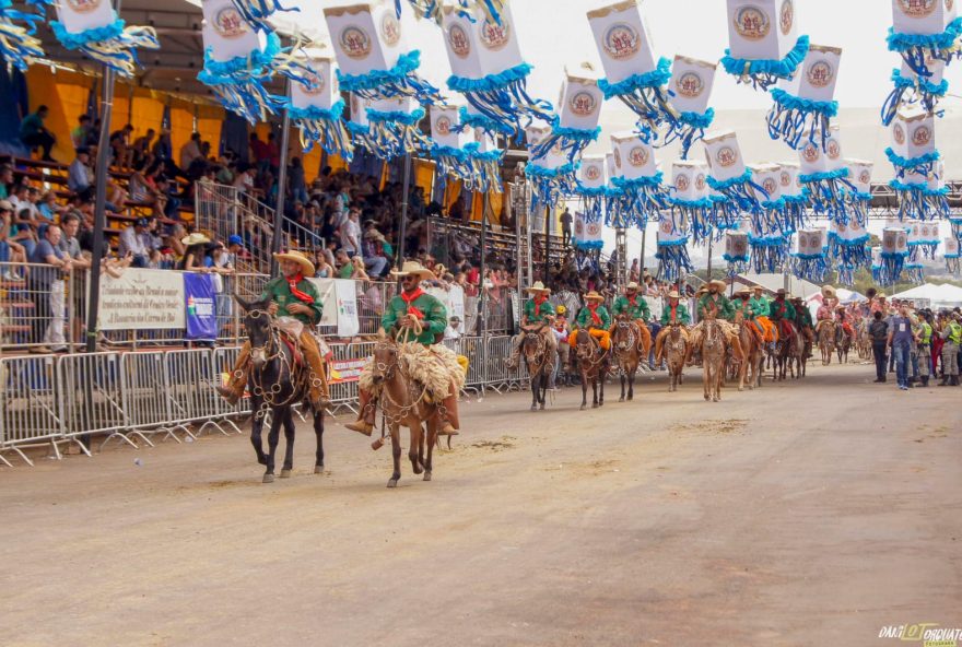 Romaria do carros de bois, em 2019. (Foto: Danilo Torquato / Secom Trindade)