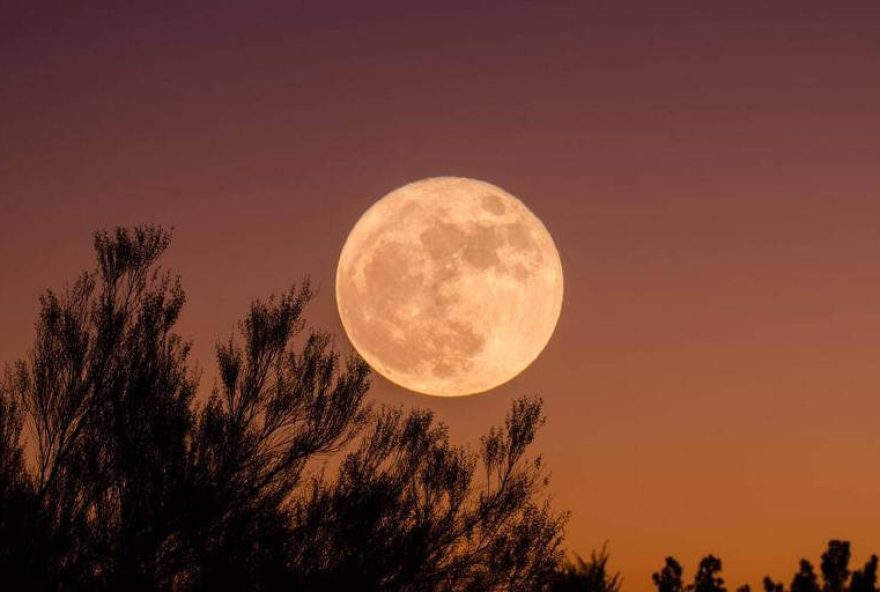 Entenda o fenômeno da superlua, sua órbita e como aproveitar a visão deste evento celestial. (Foto: Reprodução Uol)