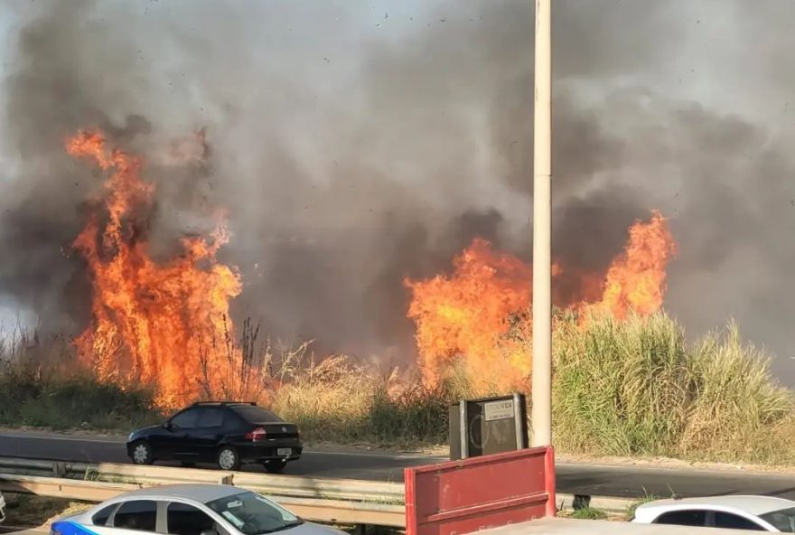 Bombeiros foram acionados para controlar segundo incêndio registrado na capital nesta sexta (15). (Foto: Reprodução)