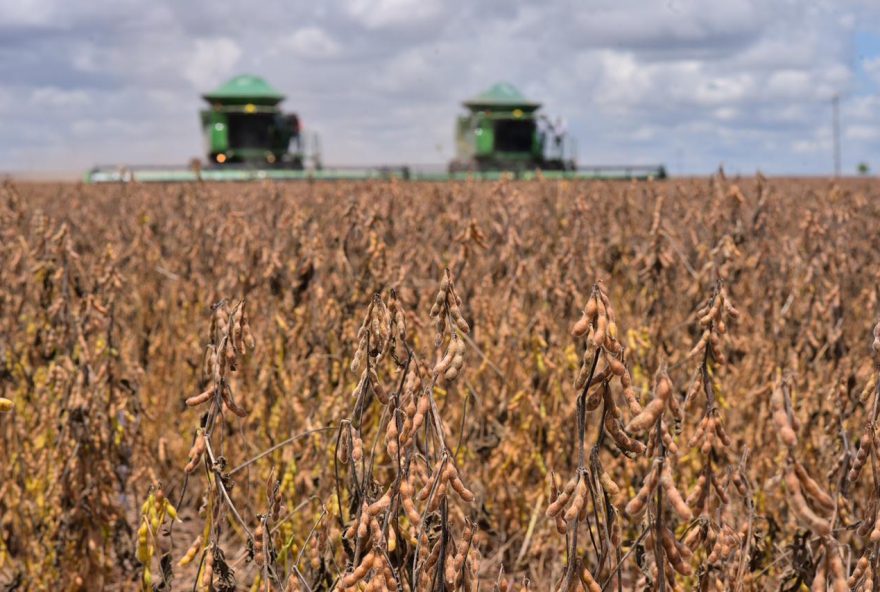 Impulsionado pelo agro e setor de serviços, PIB goiano deve crescer 3,1% em 2022, aponta consultoria (Fotos: Secom /Rodrigo Cabral)