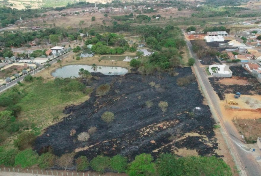 Dois jovens são suspeitos de ter colocado fogo no Parque Ecológico Maria Perillo, em Trindade (Foto: Reprodução / Semma)