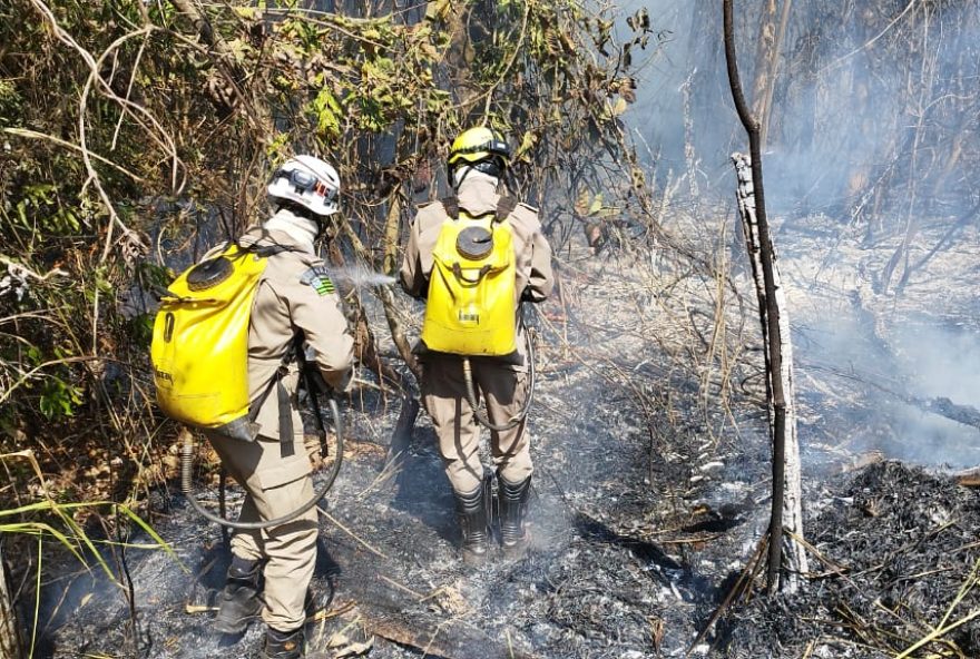 Decisão foi publicada no Diário Oficial da União (DUO) na última sexta, 2. (Foto: Divulgação/Corpo de Bombeiros)