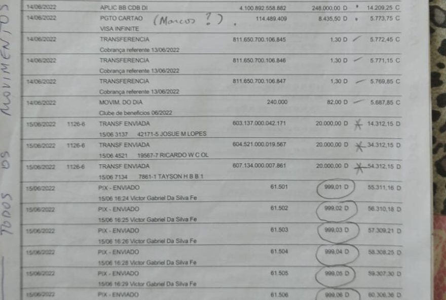 Criminosos realizaram transações, além de compras no nome do médico. (Foto: Arquivo pessoal)