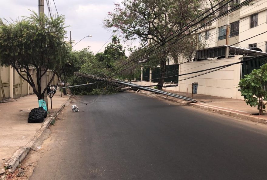 Árvore e poste derrubados pela chuva. (Foto: Divulgação/Defesa Civil)