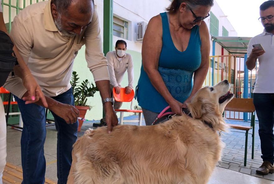 Goiânia terá 75 pontos de vacinação antirrábica de cães e gatos, neste sábado, 24 (Foto: Secom Goiânia)